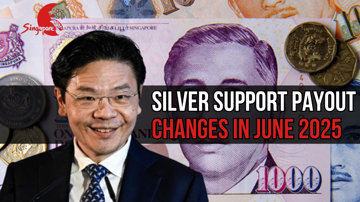 Silver Support Scheme 2025: New Payout Dates, Eligibility Updates, and Full Guide for Seniors
